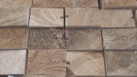 Timber Pallet  Factory  Stock Footage 73068165