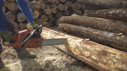 Timber Pallet  Factory  Stock Footage 73191995