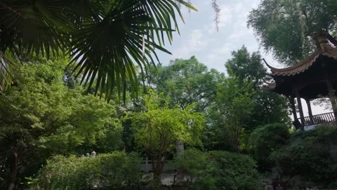 Timber Pavilion Among Dense Garden Foliage In A Chinese Courtyard Stock Footage 346385259