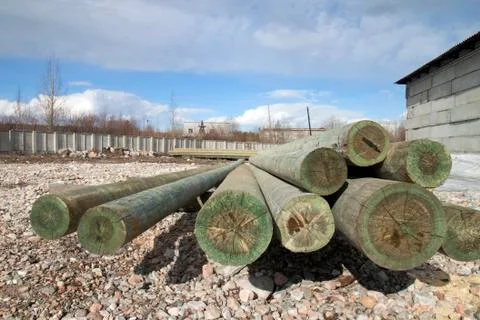 Timber Stock Photos
