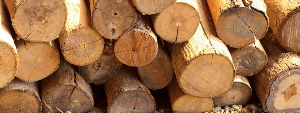 Timber Stock Photos
