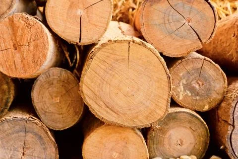 Timber Foto stock