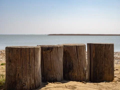 Timber pile on the beach Stock Photos
