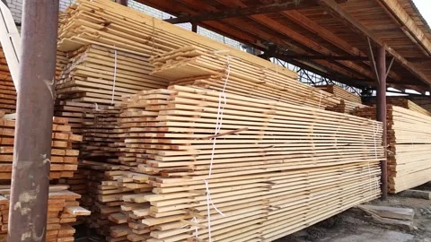 Timber processing enterprise warehouse of finished products of fresh steam Stock Footage 300195323