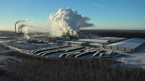 A timber processing plant with smoking pipes Stock Footage 169860523