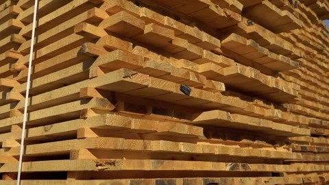 Timber processing at the sawmill. Woodworking industry. 4k video. Stock Footage 255938488