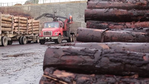 TImber product Stock Footage 77050291