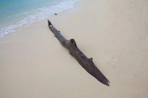 Timber on sandy beach. Abstract blurry background. Stock Photos