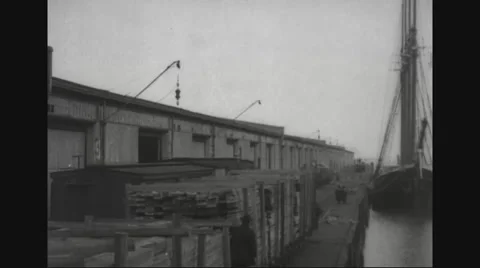 Timber stacked and loaded on cargo train being transported from timber yard Stockbeeldmateriaal 43310481