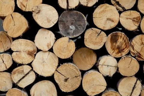 Timber with stacked for building pattern, logs wood lumber background, materi Fotos de archivo
