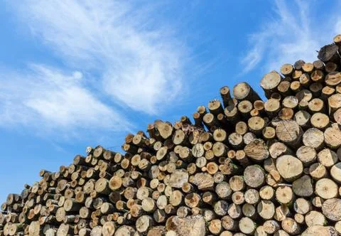 Timber stacked Stock Photos