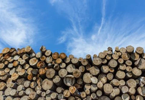 Timber stacked Stock Photos
