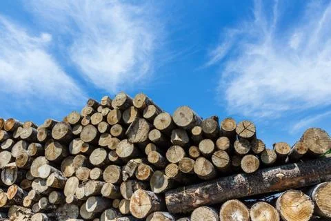 Timber stacked Stock Photos