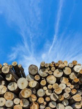 Timber stacked Stock Photos