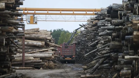 Timber in storage for processing at sawmill plant for wood production also known Stock-Footage 127165909