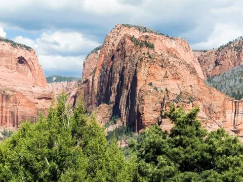 Timber Top Mountain Stock Photos
