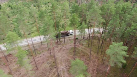 Timber Transport Stock Footage 142145689