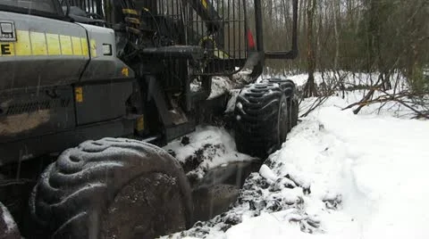 Timber truck Stock-Footage 18142584
