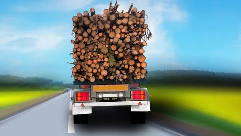 Timber truck Stock Footage 102433475