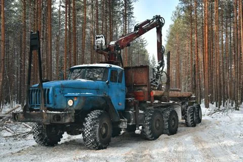 A timber truck stands in a forest plot, ready to be loaded with logs Foto stock