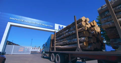 A timber truck with a trailer is fully loaded with logs Stock Footage 105987165