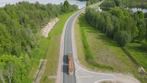 Timber truck transporting cut trees from forest Video stock 155493699