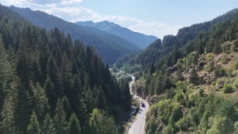 Timber Truck Transporting Logs on Mountain Road in Rhodope Forest Aerial 動画素材 343617247