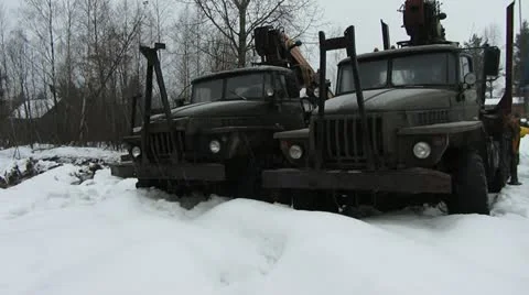 Timber trucks Video stock 18142728