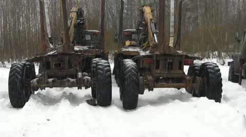 Timber trucks Video stock 18143509