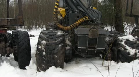 Timber trucks Stock-Footage 18143589