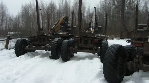 Timber trucks Video stock 18143686