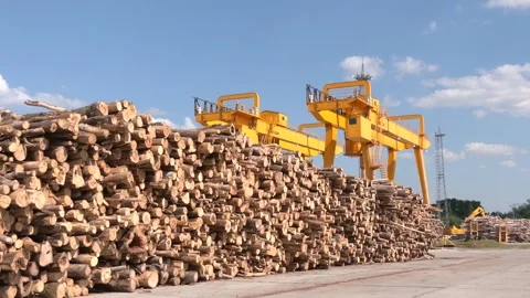 Timber waitiing to be pulp at the pulp and paper mill. Stock Footage 159237944