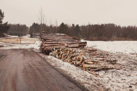 Timber waiting at the side of the road Foto stock
