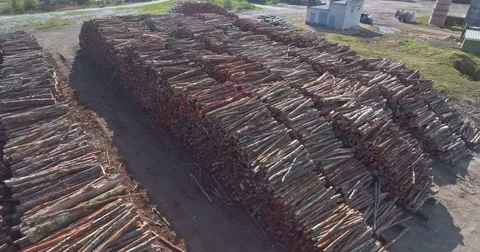 Timber wood at saw-mill and construction warehouse Stock Footage