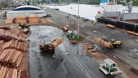 Timber yard with large log stacks, John Deere wheel loader, dome warehouse, wet Stock Footage 336271501