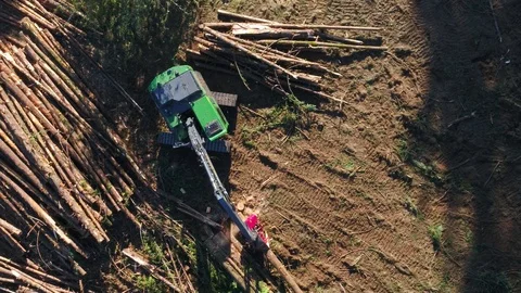 Timber yarder and sorter Stock Footage 97750330