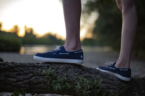 Timberland Stock Photos
