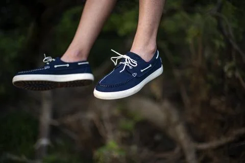 Timberland Stock Photos