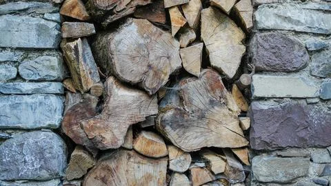 Timberwood Stock Photos