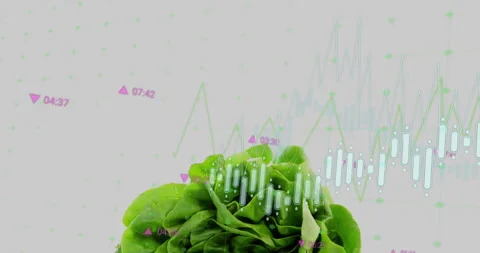 Time codes popping, lettuce centering while candlesticks flowing to visualize 스톡 동영상 312713145