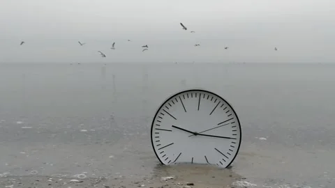 Time Concept Background, Sea Gulls in Sky, Clock in Water On Sand Beach Ocean Stock Footage 86418800