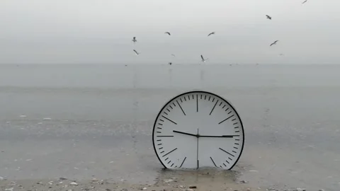 Time Concept Background, Wall Clock in Sand, Flying Sea Gulls Stock Footage 86618706