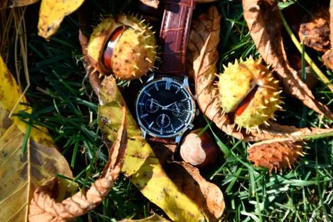 Time concept Stock-Fotos