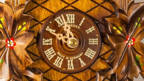 Time flies every day. A cuckoo clock remember us this truth. Stock Footage 83142587