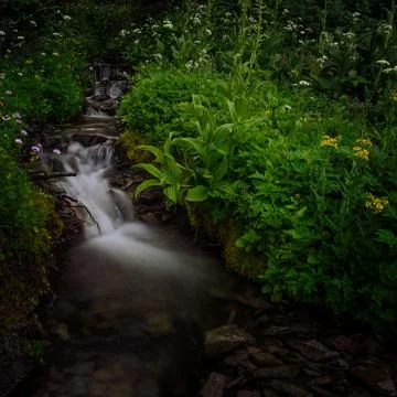 Time Flows By Stock Photos