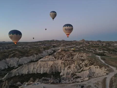 Time to fly 写真素材