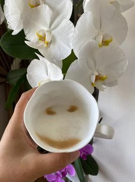 Time for a fresh coffee Stock Photos