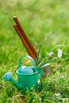 Time for garden now…. decorative small gardening tools and sno Foto stock