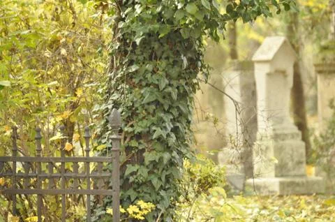 Time goes by really quick Stock Photos