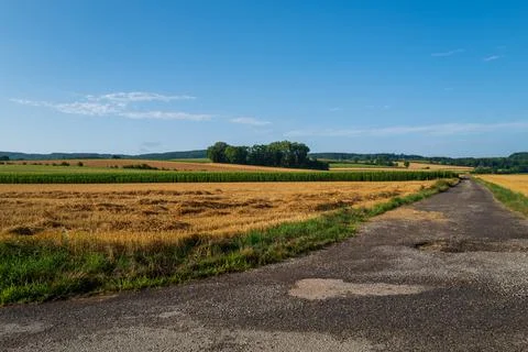 Time For Harvest Stock Photos
